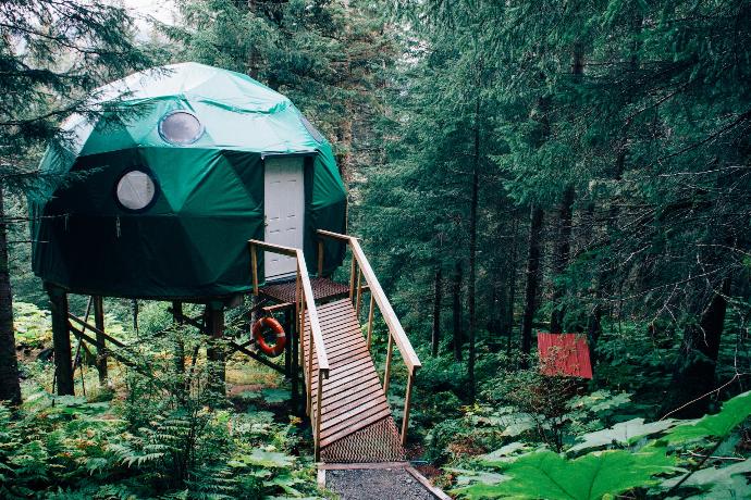 écodome dans les bois